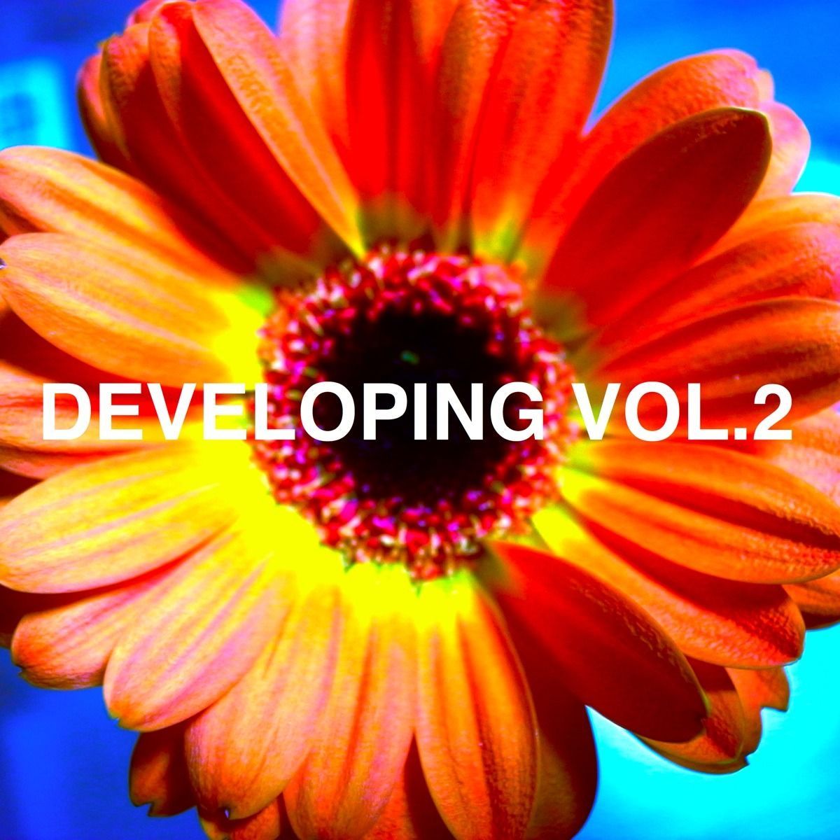 Developing Vol. 2